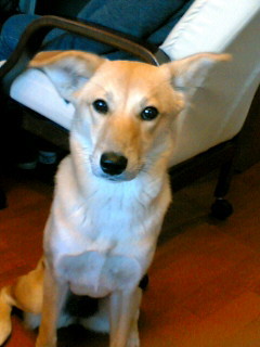 nana_yah's profile picture. Love music, dogs and beer.