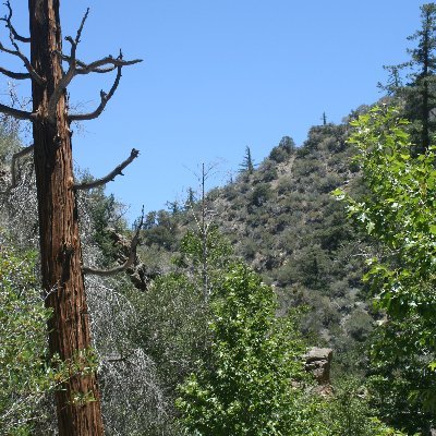 Hendja's profile picture. Animal lover. City of Brotherly Love. Native plant gardener. Opinions my own on my own time. 🇺🇦