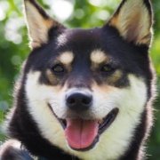 TAKUYA・K (@kisi0703) Twitter profile photo