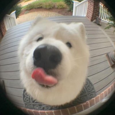 nopsmiles's profile picture. 