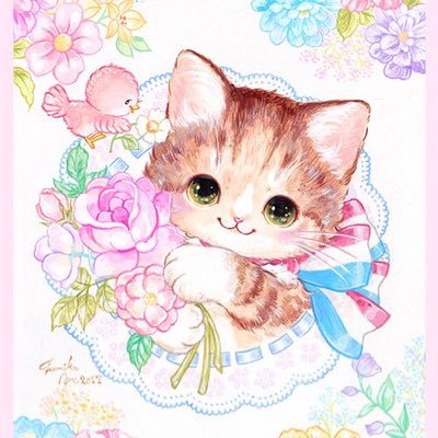 ꔛ ⋆⁺ +.🌈🐈🍀꒱ ⊹ ˚.ﾟ Profile