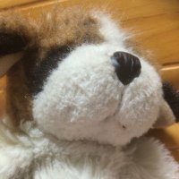 ハチ (@hachidiary) Twitter profile photo