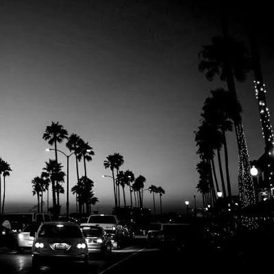 Credo1998's profile picture. SoftBoy 🌸 | 26 | 5'10 | Gemini ♊ | Tiger 🐅| Negrense 🌱 | 🏳️‍🌈