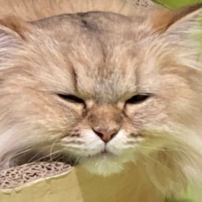 みつまめさんのプロフィール画像