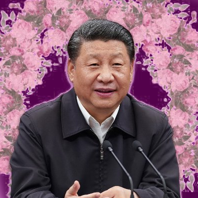 Chairman of Parody Xi Jinping