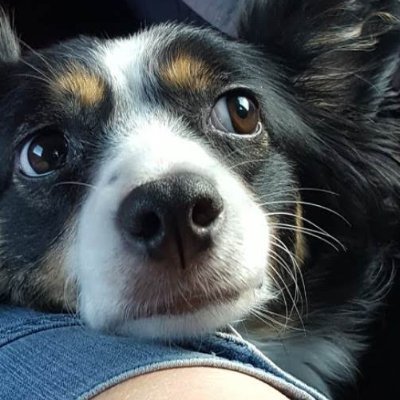 ampere83's profile picture. 