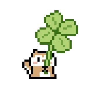 새싹さんのプロフィール画像