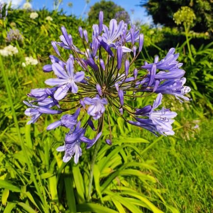 karthik71093's profile picture. 