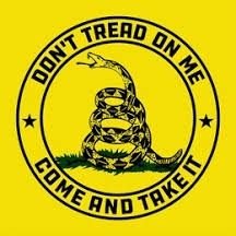 🇺🇲 Freedom, Liberty, 2A, Free Speech, Pro Life. NO DMs! 🇺🇲 ✝️