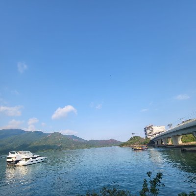 IronDan2222's profile picture. 