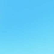 paulinaprzybysz's profile picture. 