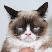 - (@grumpyygirl) 's Twitter Profile