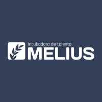 Melius Incubadora de Talento (@meliustalento) 's Twitter Profile