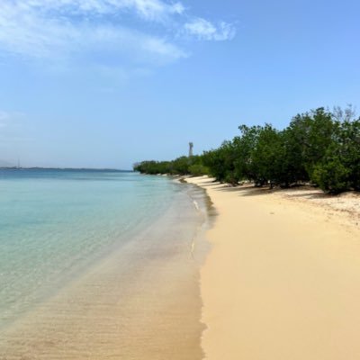 mario6675's profile picture. Comerciante, emprendedor, amante de mi familia.