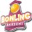 BowlingAkademi's profile image