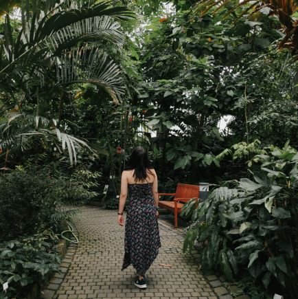 Psychology Grad 🧠 | Learning SQL & Python 💻 | Data analytics, machine learning & AI 🤖 | using #Twitter as my learning journal 📙 | Cat worshipper 🐈