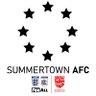 SUMMERTOWNAFC's profile picture. Oxfordshire Senior League Division 1 & Division 2 Oxford City Football League Champions 2016/17, OSL Division 3 Champions 2023/24 #UPTHETOWN 🔴⚪️