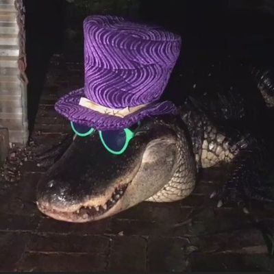 RichielovesF's profile picture. Alt account of FreedomFanRichie