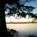 Michael Scarpelli - @Scarpelli420 - Twitter