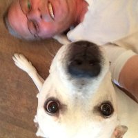 Peter (@kc3uep) 's Twitter Profile