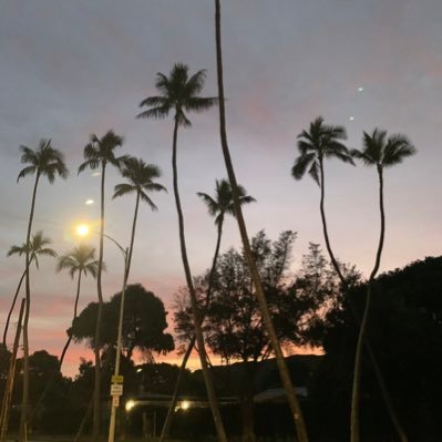 uniunimimi33's profile picture. UNICORN/OT/ABEDON/カーリングシトーンズ/UCFC/SMA/