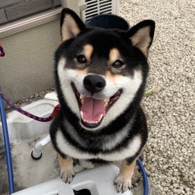 ぱんたろうさんのプロフィール画像