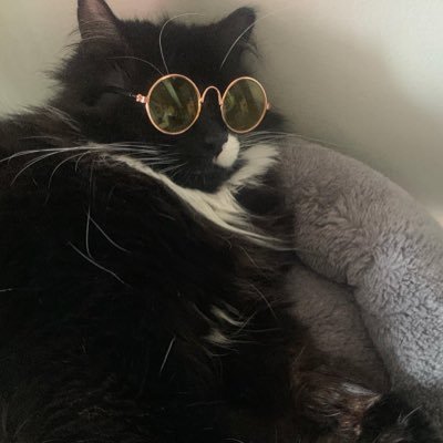 Benjiさんのプロフィール画像