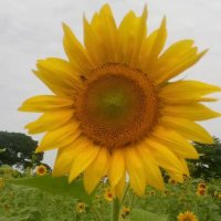 P'kwi Farmer to Farmer Cooperative (@cooperative_p) 's Twitter Profile