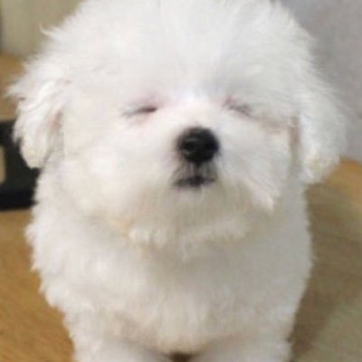 unimijisworld's profile picture. 