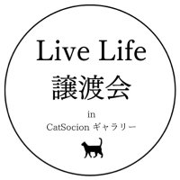 LiveLife譲渡会　in CatSocionギャラリー(@livelifesocion) 's Twitter Profile Photo