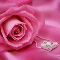 هَدهَدة حرف (@hmsatee) 's Twitter Profile