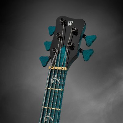 WarwickFramus Profile Picture