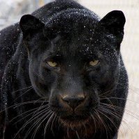 Walker Henry Smith(@WalkerHenrySmi1) 's Twitter Profile Photo Walker Henry Smith(@WalkerHenrySmi1) 's Twitter Profile Photo