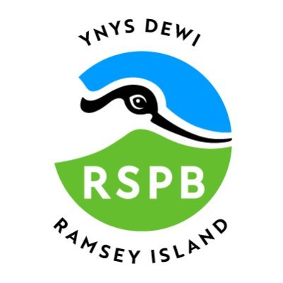 #IslandLife updates from the resident #RSPB staff on Ramsey/Ynys Dewi. For boat booking queries call 01437 721721 or info@thousandislands.co.uk