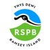 RSPB Ramsey Island (@RSPBRamsey) Twitter profile photo