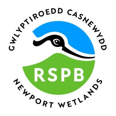 Tweets from the team at RSPB Newport Wetlands Environmental Education and Visitor Centre. We're also on Facebook: https://t.co/pGkvy8wvSQ…