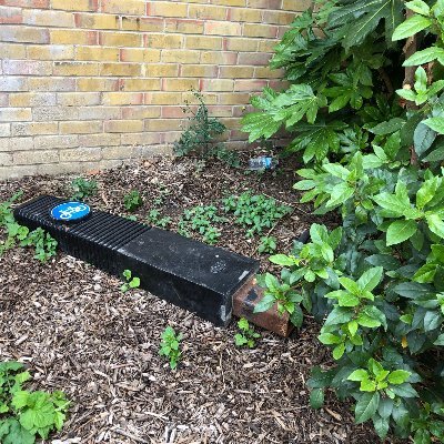 Upstanding citizen. Just want to be locked in my hole doing my bollard business - happily now firmly fixed in concrete. No longer to be found lying in a bush.