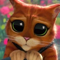 LazyFriday ch (@clazyfriday) 's Twitter Profile