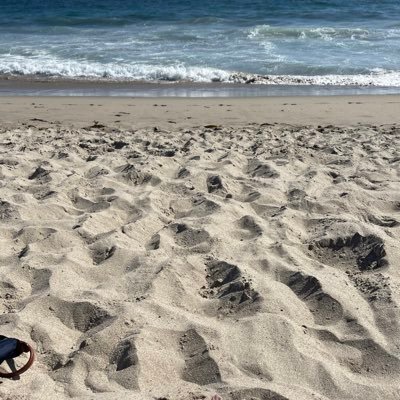 RobynGoettler's profile picture. 