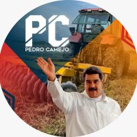 La Nueva Pedro Camejo(@pedrocamejo2020) 's Twitter Profile Photo