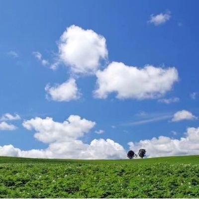 yhy5227's profile picture. 高人指点,贵人相助,君子相伴,小人相随,这四个必要条件必须要结合在一起,每个人都是这样的,必须有四个条件,四个必要条件,构成充分条件的时候,你就成功了!