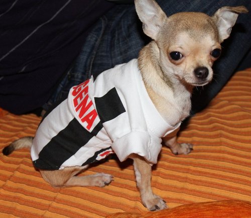 nuribeep's profile picture. 