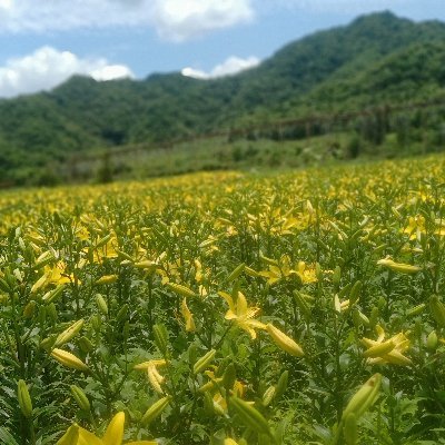 eto3t's profile picture. 