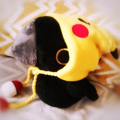 FaynagTheBirbさんのプロフィール画像