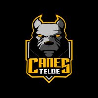 Telde Canes(@FootballCanes) 's Twitter Profile Photo