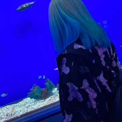 桃汰さんのプロフィール画像