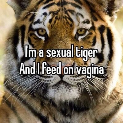 SigmaBbc's profile picture. Hello, I'm a male tiger who loves latinas and black women . Born to breed. Live to hunt. #latinablacked #latinavsbbc