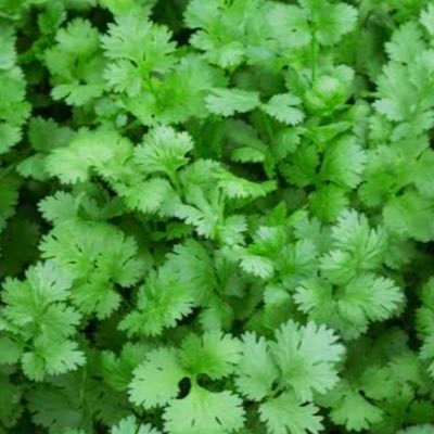 k67530446's profile picture. グルメ🍙/美容💆‍♀️/株初心者🔰