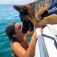 🦮 Dedicated to #GermanShepherd Lovers
🐶 Daily Lovable German Shepherd posts.