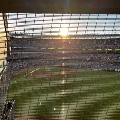 yanksallday20's profile picture. 